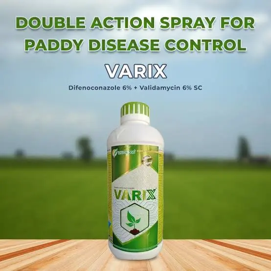 No One Fungicide for leaf blast